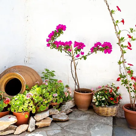 Feriehus Cozy Traditional House In Thassos, Kallirachi *